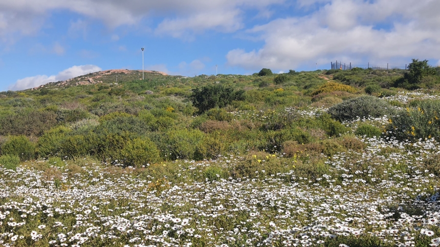 Commercial Property for Sale in St Helena Views Western Cape